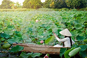 Vietnamese woman wearing Ao dai costume and wearing a hat sitting on a boat in a lotus pond.