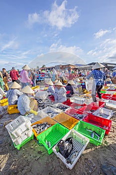 Vietnamese woman working on the beach at Long Hai fish market