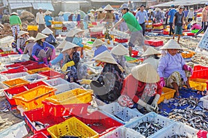 Vietnamese woman working at Long Hai fish market