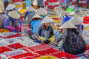 Vietnamese woman working at Long Hai fish market