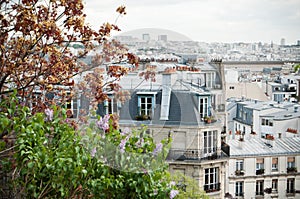 Vieuw from Montmartre photo
