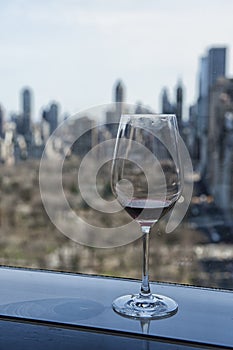 Vieuw over New York Central Park Glass of wine moment