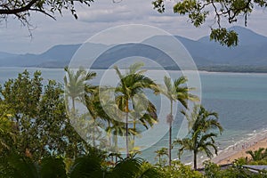 View of 4 Mile Beach in Port Douglas - focus on palm trees.