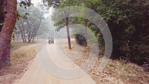 View from a 4x4 of one of the most beautiful Indian national parks.