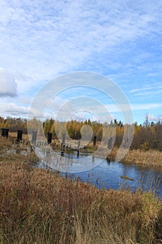 View of abandoned bridge in the distance amongst fall colors are reflected in a river in Hayward, Wisconsin