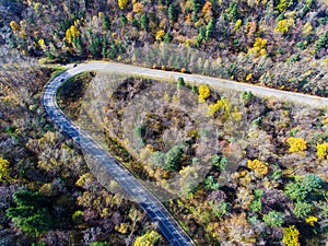 View from above. Automobile road, among tall multi-colored trees, shot from above