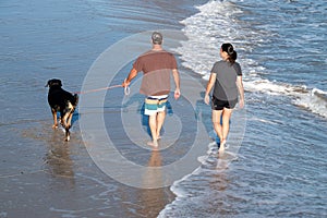 View from above of the back of a man and woman walking their dog along the edge of the ocean water on a sunny day