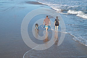 View from above of the back of a man and woman walking their dog along the edge of the ocean water on a sunny day