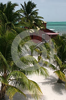 View from above the beach at Caye Caulker photo