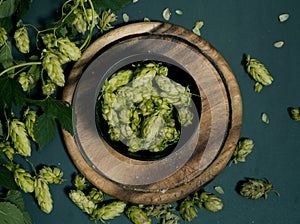 View from above of black bowl with fresh green hop cones on rustic wooden cutting board over dark stone background. Concept of