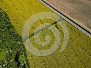 View from above of blooming oilseed rape with a road and a plowed arable field in spring