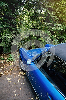 View from above of blue vintage car parked in front of tall forest