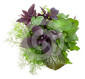 View from Above on Bouquet with Greens