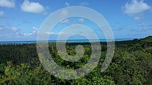 View from above of coconut trees, green vegetation and the sea