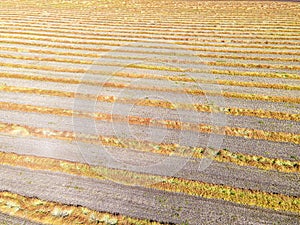 View from above field after harvest. Incredible landscapes and textures. The dug-up strips left by combines form geometric lines