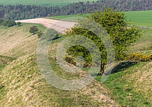 View above Frendal Dale in Wolds