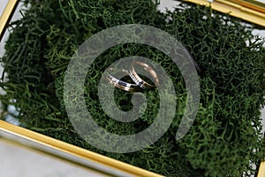 Glass box with golden brass edges filled with natural forest moss where two wedding bands are placed