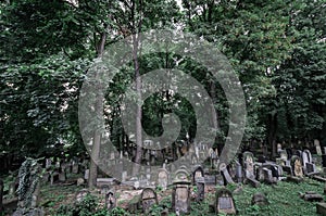 A view from above of the gravestones in the new Jewish cemetery in Krakow, Poland photo