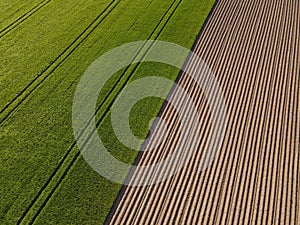View from above of green crop field and plowed arable land with soil in spring