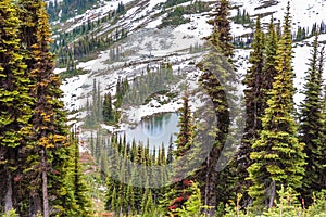 view from above on a lake in the mountains, on a hillside, between green trees