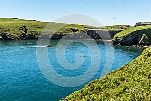 A view above the landing bay on Skomer Island, Wales