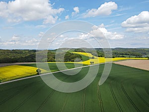 View from above of a landscape with growing wheat field, blooming canola field, a road and a blue sky with white clouds in spring