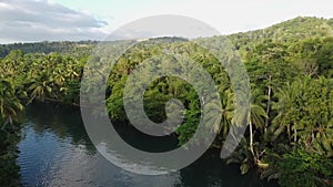 View from above on Loboc river in tropical jungle green rainforest, Philippines, Bohol Island
