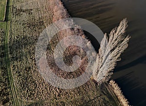 a view from above of the lowland landscape with banks overgrown