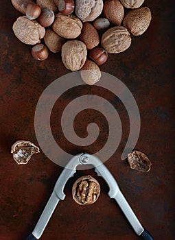 Mix of nuts on the table