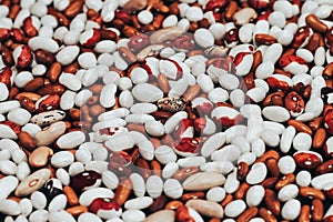 View from above. multi-colored beans scattered on a black background. background with space for text. Texture