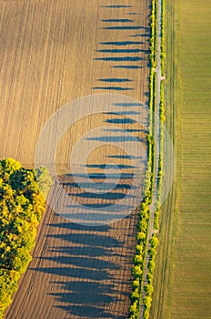View from above over fields and trees with long shadows in the evening sun