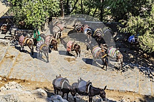 A view from above of the parking of the donkey taxi at the top point of the Lindos acropolis. Rhodes Island, Greece