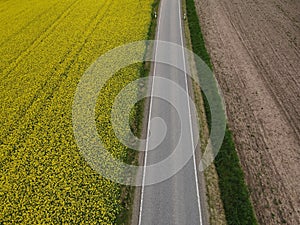View from above of a road between rapeseed field and plowed arable field with soil in the landscape