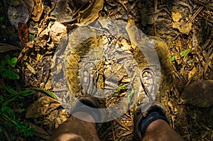 View from above of sun-lit muddy-covered hiking boots during a hiking break in the rainforest