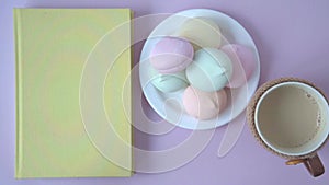 View from above. On the table is a book, a plate of marshmallow. A woman's hand adds a mug of cocoa to this composition