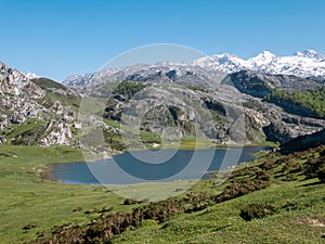 View from above to the Ercina mountain lake near Covadonga, Asturias, Spain