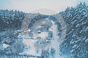 View from above of village lokated in pine forest photo