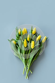 View from above yellow tulips on gray background. Mockup for womens day, 8 March. Flat lay style, top view, template