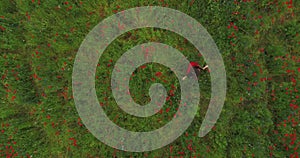 View from above of young woman running in a poppy field smiling happily. Connection with nature. Leisure in nature