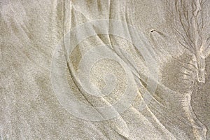 View on an abstract background pattern of sand on the beach.