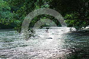 View of the Acheron River with its pristine nature in Epirus