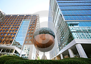 View of the acorn in downtown Raleigh NC on Fayetteville Street