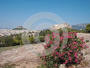 View of Acropolis hill from pnyx in Athens