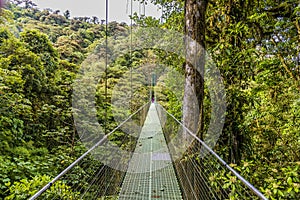 A view across a 100m long suspended bridge in the cloud rain forest in Monteverde, Costa Rica .