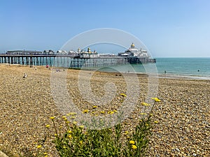 A view across the beach at Eastbourne, UK towards the pier