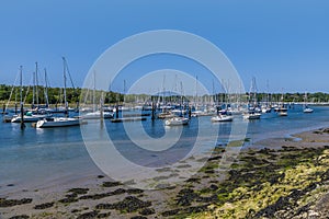 A view across boats moored at low tide on the River Hamble