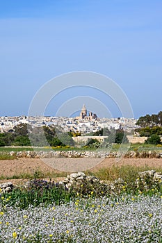 View of Siggiewi with spring flowers in the foreground. photo