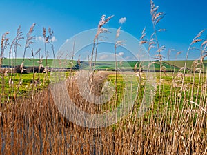 A view across the Cuckmere valley