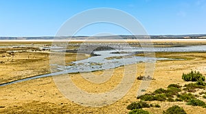 A view across the evaporated lagoon of Fuente de Piedra and breeding flamingos in Spain