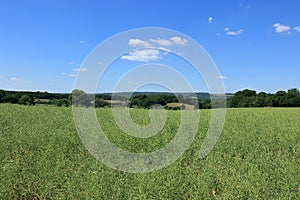 A view across the fields and meadows of the Westerham Countryside